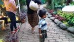 Di Serpong Ada Wisata City Farm, Tahu?
