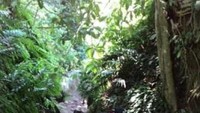 Tracking menuju puncak gunung munara