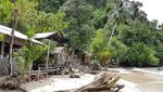 Di Sini Tempat Terbaik Melihat Paus