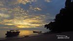 Di Sini Tempat Terbaik Melihat Paus