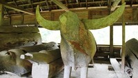 Peti mati berbentuk kerbau dan kapal di tedong-tedong