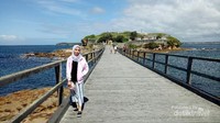 Jembatan Bare Island Fort La Perouse