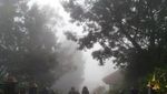 Dibuai Kabut di Pananjakan Bromo