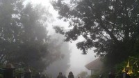 Jalan yang berkabut disekitar Pananjakan Bromo