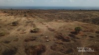 Savana Puru Kambera