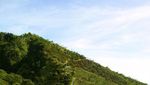 Dibuat Membisu Oleh Pemandangan di Gunung Lawu