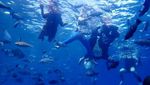 Dibuka Lagi, Ini Aturan Baru untuk Berwisata di Raja Ampat