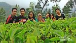 Dieng, Destinasi Asyik untuk Liburan Panjang