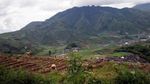 Dieng Plateu, Kecantikan Alam yang Sempurna di Tanah Jawa!