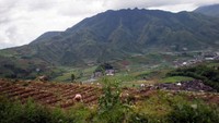 Gunung