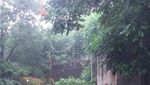 Dijamin Gemas! Melihat Panda di Chengdu, Tiongkok