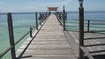 Diving Sepuas Hati di Kepulauan Derawan