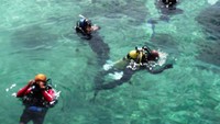 Persiapan sebelum diving