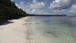 Diving Sepuas Hati di Kepulauan Derawan
