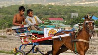 uniknya palu, uniknya indonesia