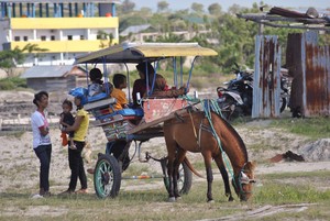 Dokar, Kereta Kuda Khas Palu