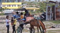 Dokar sarana transportasi masyarakat palu