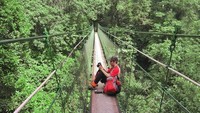 Canopy Trail, tempat mengawasi hewan liar