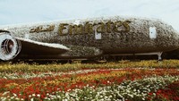 Dubai Miracle Garden yang penuh akan replika yang di buat dengan kumpulan bunga-bunga.
