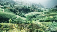 Pemandangan dari  Malino Highland