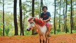 Dug Ser.. Sensasi Naik Sepeda Udara Malino