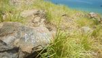 Duh Sayang, Si Cantik Pulau Kenawa Kini Penuh Coretan