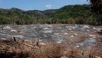 Ceceran abu bekas pembakaran hutan masih terasa hangat.