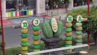 Durian Jatohan