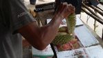 Durian Lezat dari Daratan Gayo Aceh