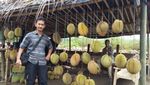 Durian Lezat dari Daratan Gayo Aceh