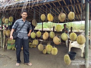 Durian Lezat dari Daratan Gayo Aceh