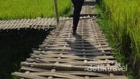 Serasa di kampung halaman