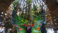 Pohon didalam ruangan yang sekaligus digunakan sebagai ventilasi