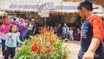 Dusun Semilir, Tempat Wisata Asyik di Jawa Tengah