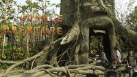 Pintu Masuk Jungle Adventure