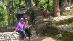 Ecolodge, Penginapan yang Ramah Lingkungan