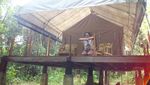 Ecolodge, Penginapan yang Ramah Lingkungan