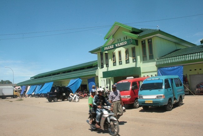Ekonomi  Sultra (Bagian 1)