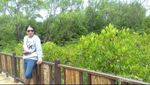 Ekowisata Hutan Mangrove Wonorejo, Sudut Adem di Surabaya