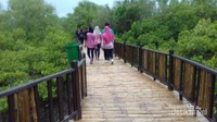 Banyak wisatawan yang berkunjung menikmati sejuknya bakau di Surabaya