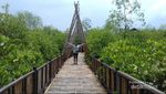Ekowisata Hutan Mangrove Wonorejo, Sudut Adem di Surabaya