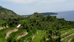 Eksotis Banget Bukit Pengilon Surga di Selatan Yogyakarta