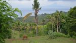 Eksotisme Lombok Dilihat Dari Balik Bukit Melase