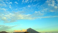 maitara  tidore