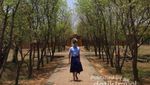 Eksotisme Ribuan Candi di Bagan, Myanmar
