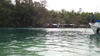 Sulamadaha