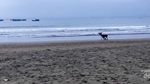 Eksotisnya Pesisir Barat Pantai Pangandaran