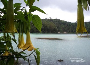 Eksotisnya Telaga Warna dari Batu Ratapan Angin