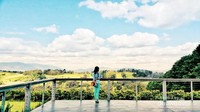 Seville Hill Winery, Yarra Valley