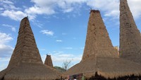 Khasnya bangunan rumah di Kampung Adat Ratenggaro, Sumba Barat Daya, Sumba.